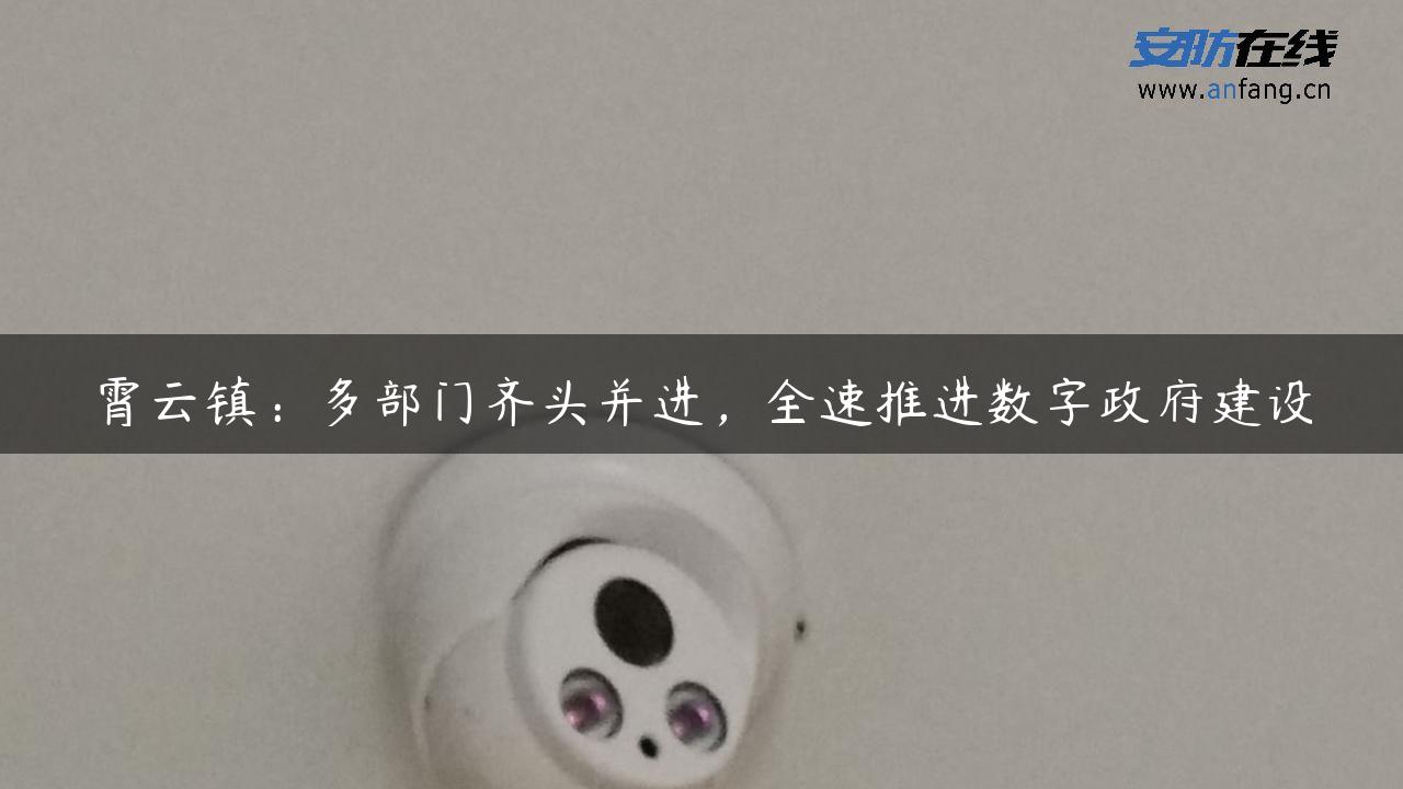 霄云镇：多部门齐头并进，全速推进数字**建设