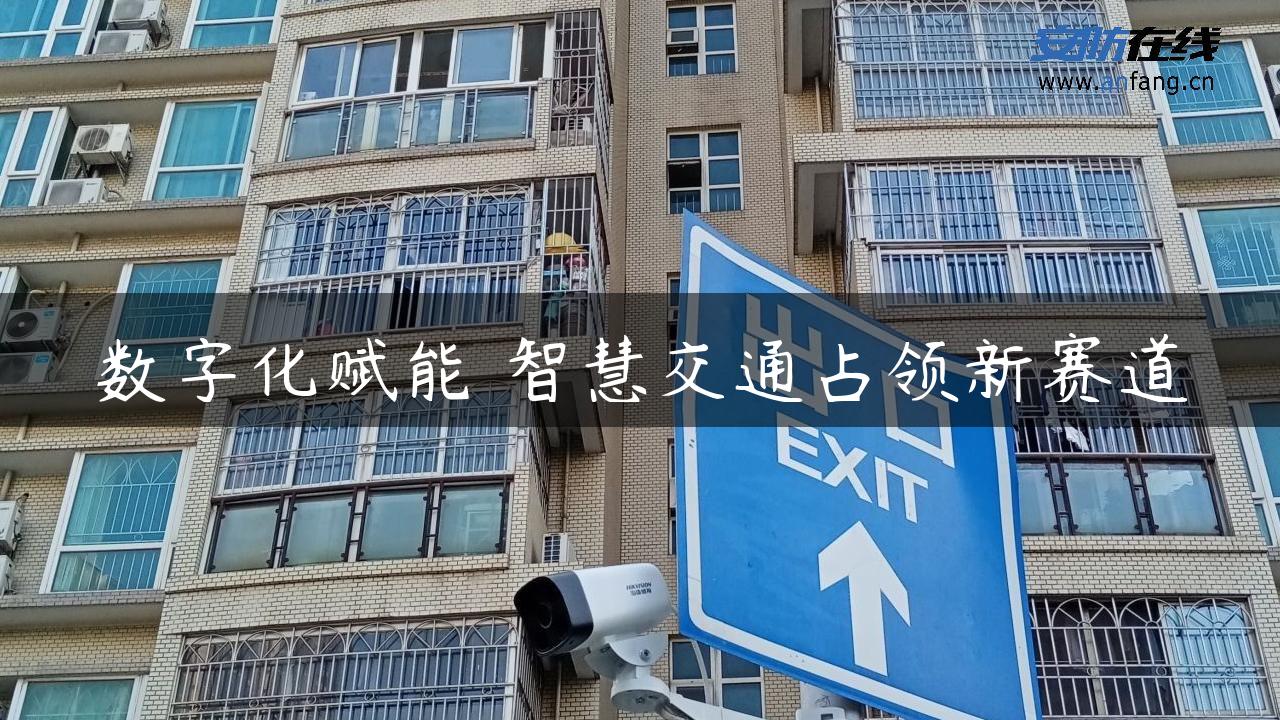 数字化赋能 智慧交通占领新赛道