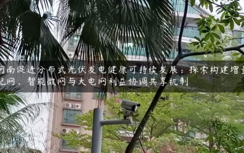 河南促进分布式光伏发电健康可持续发展：探索构建增量配网、智能微网与大电网利益协调共享机制