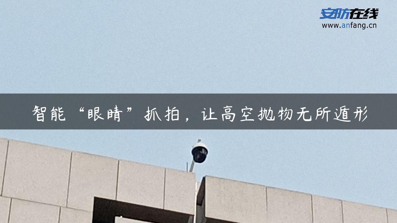 智能“眼睛”抓拍，让高空抛物无所遁形