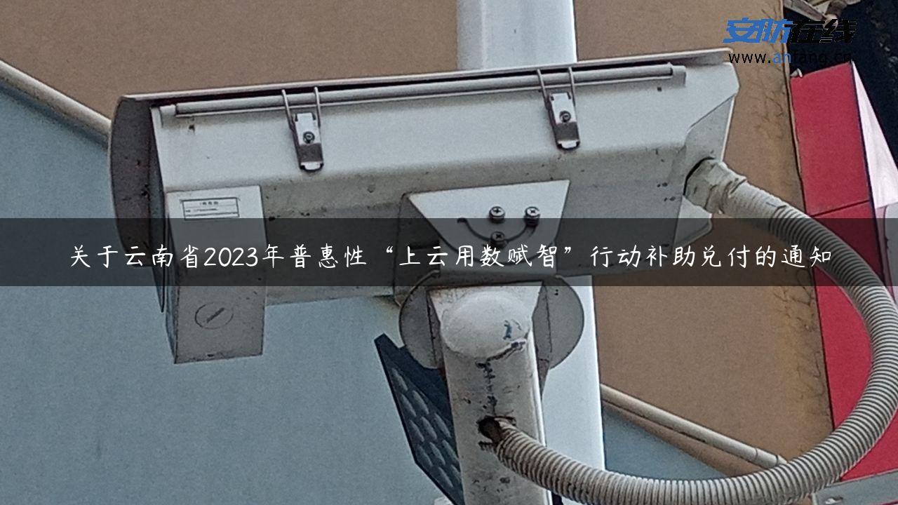 关于云南省2023年普惠性“上云用数赋智”行动补助兑付的通知