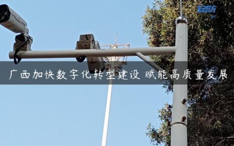 广西加快数字化转型建设 赋能高质量发展