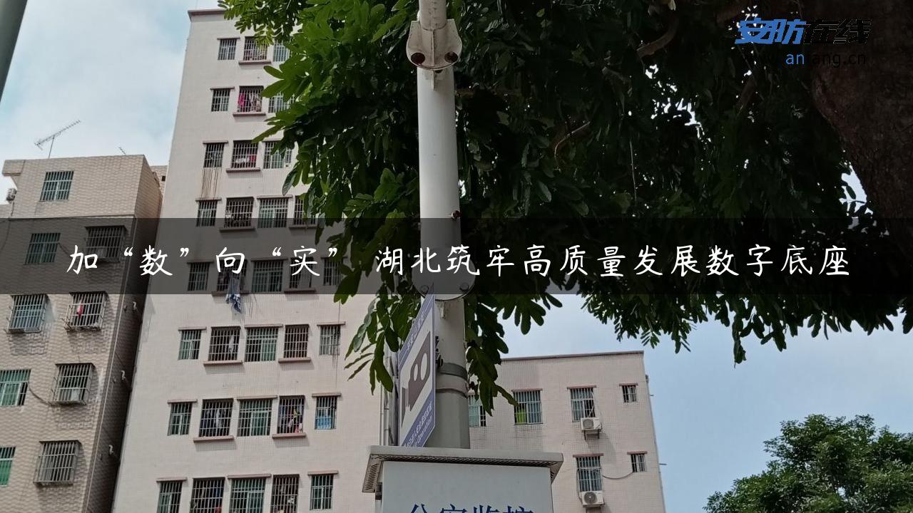 加“数”向“实” 湖北筑牢高质量发展数字底座