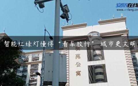 智能红绿灯懂得“看车放行” 城市更文明