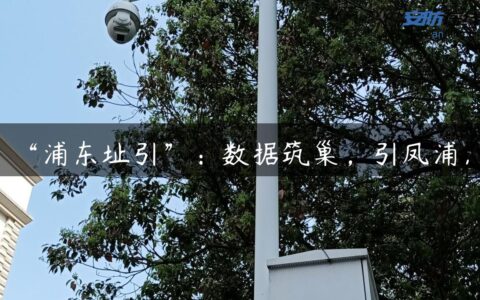 “浦东址引”：数据筑巢，引凤浦东