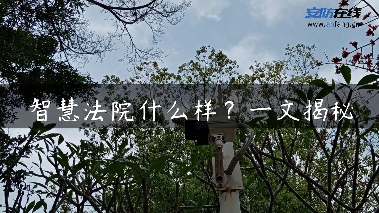 智慧**什么样？一文揭秘