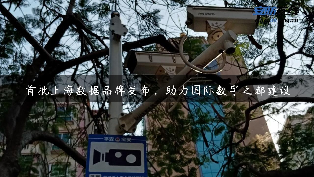 首批上海数据品牌发布，助力国际数字之都建设