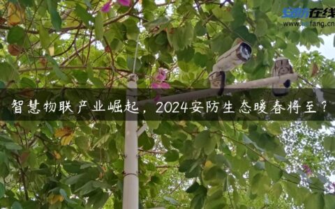 智慧物联产业崛起，2024安防生态暖春将至？