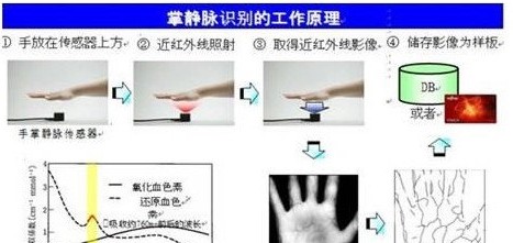 掌静脉识别监狱门禁系统应用方案