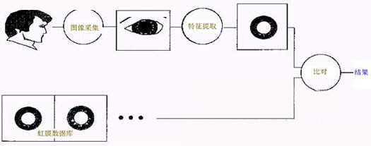 抗战疫情 专讯科技推出虹膜识别出入口控制系统解决方案