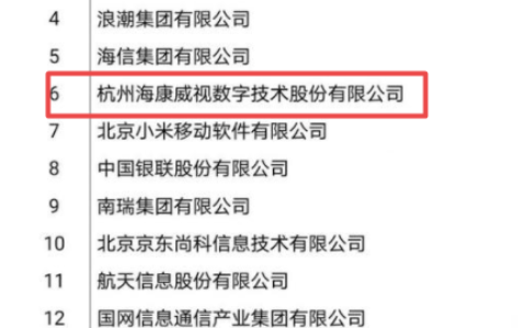 2019中国软件业务收入百强发布 三分之一都涉及安防业务