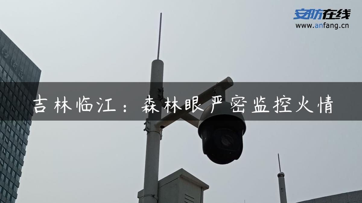 吉林临江：森林眼严密监控火情