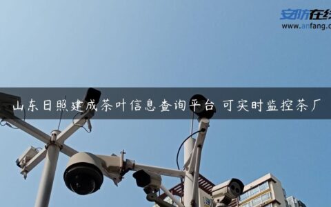 山东日照建成茶叶信息查询平台 可实时监控茶厂