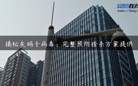 揭秘灰鸽子病毒：完整预防猎杀方案提供