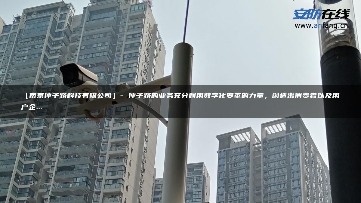 【南京仲子路科技有限公司】- 仲子路的业务充分利用数字化变革的力量，创造出消费者以及用户企…