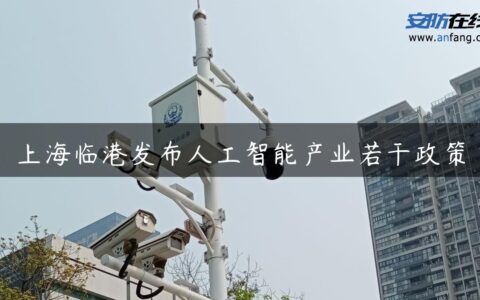 上海临港发布人工智能产业若干政策