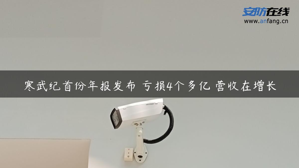 寒武纪首份年报发布 亏损4个多亿 营收在增长