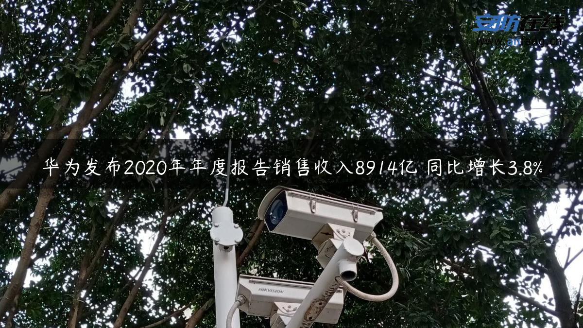 华为发布2020年年度报告销售收入8914亿 同比增长3.8%