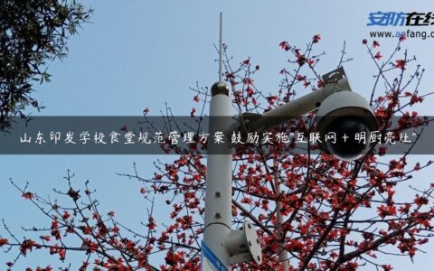 山东印发学校食堂规范管理方案 鼓励实施”互联网＋明厨亮灶”