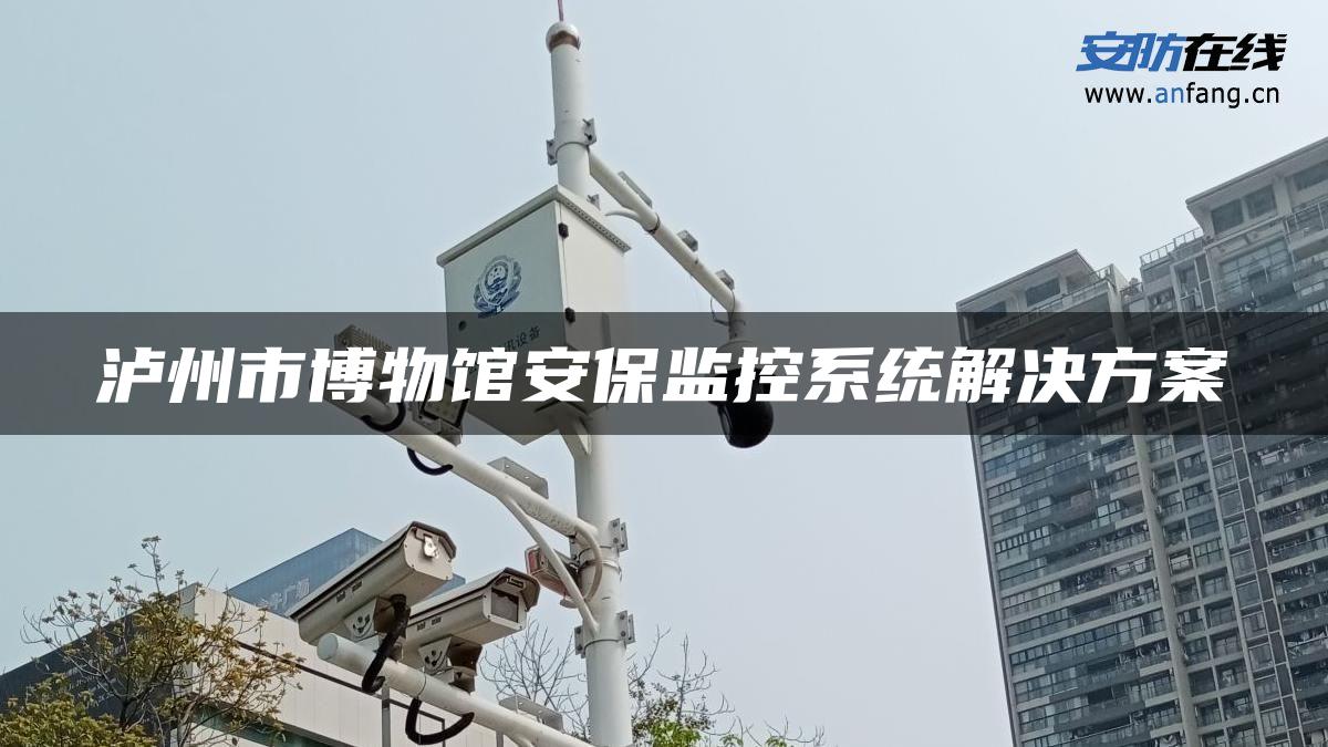 泸州市博物馆安保监控系统解决方案