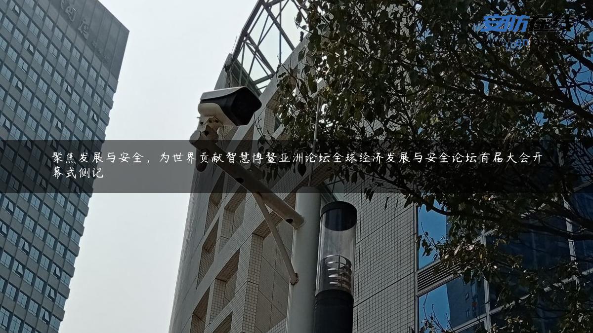 聚焦发展与安全，为世界贡献智慧博鳌亚洲论坛全球经济发展与安全论坛首届大会开幕式侧记