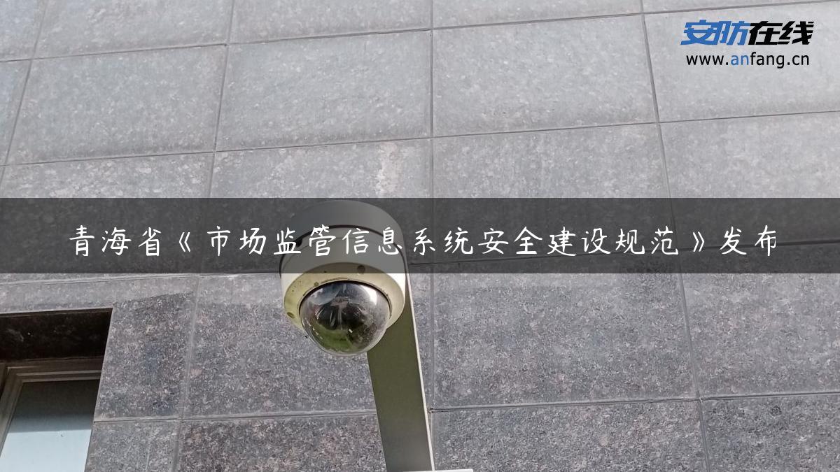 青海省《市场监管信息系统安全建设规范》发布