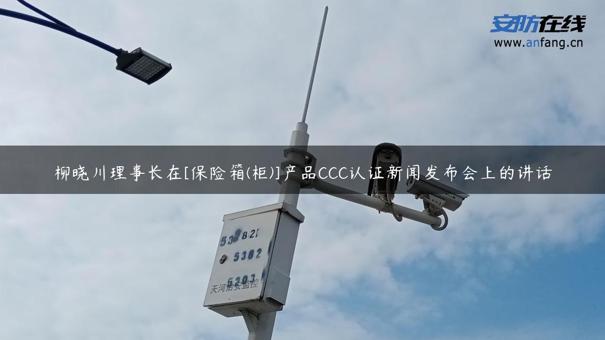 柳晓川理事长在[保险箱(柜)]产品CCC认证新闻发布会上的讲话