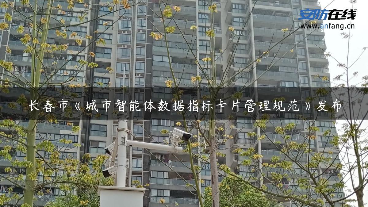 长春市《城市智能体数据指标卡片管理规范》发布