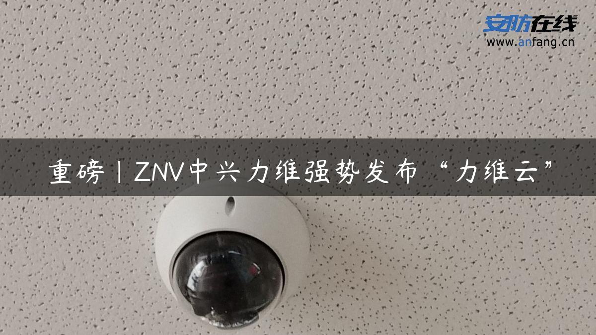 重磅|ZNV中兴力维强势发布“力维云”