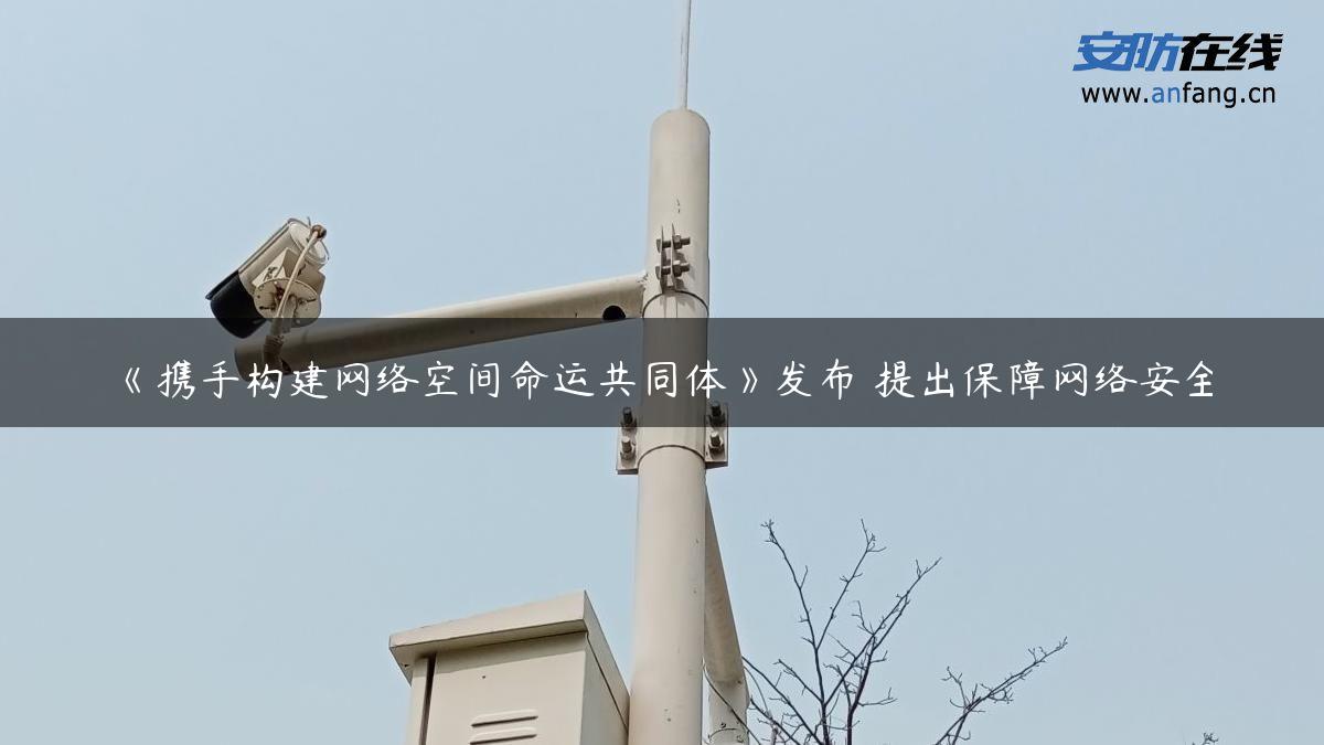 《携手构建网络空间命运共同体》发布 提出保障网络安全