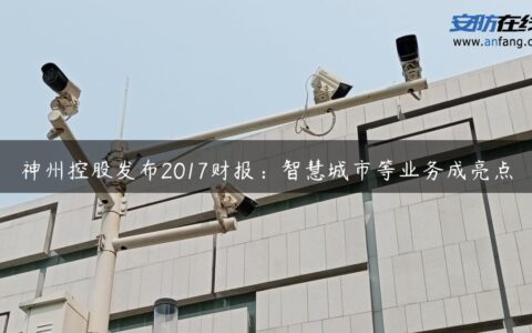 神州控股发布2017财报：智慧城市等业务成亮点