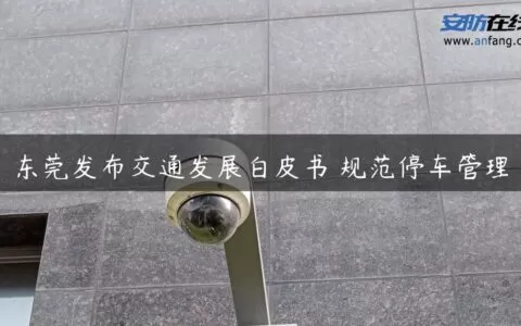 东莞发布交通发展白皮书 规范停车管理