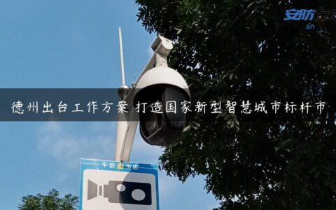 德州出台工作方案 打造国家新型智慧城市标杆市