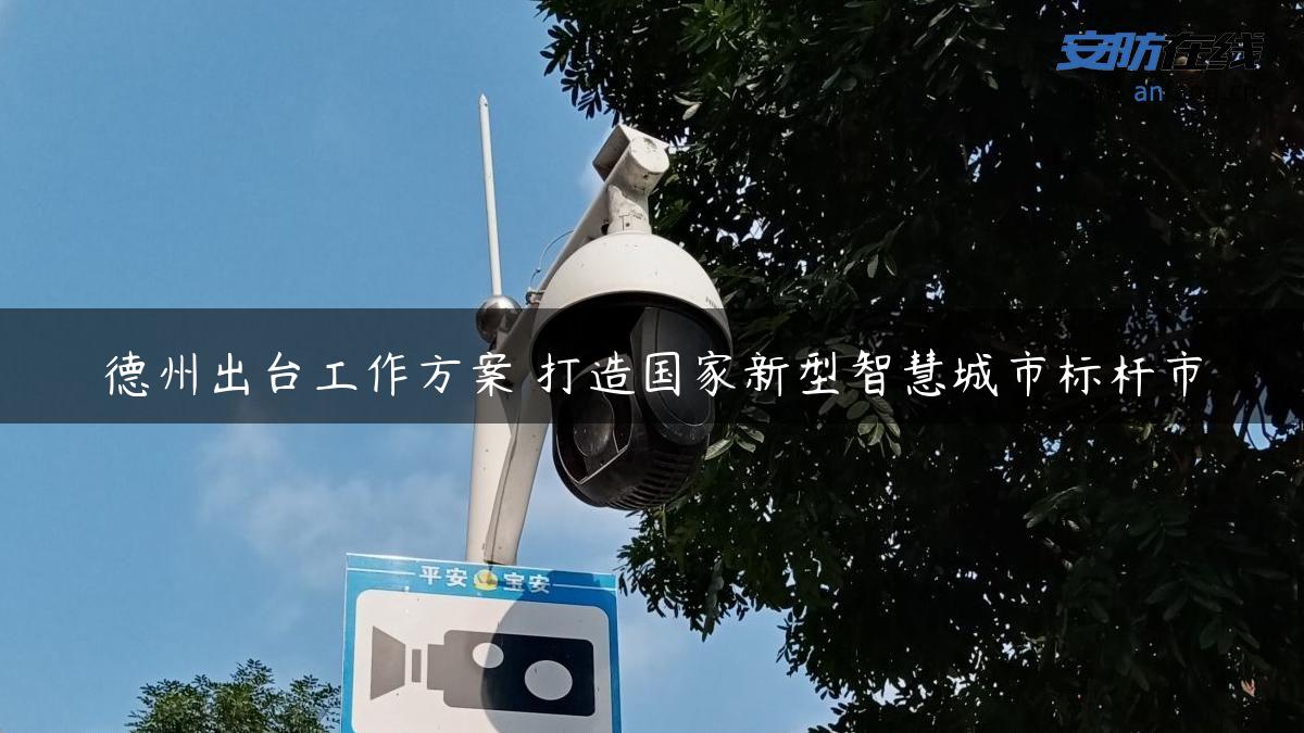 德州出台工作方案 打造国家新型智慧城市标杆市