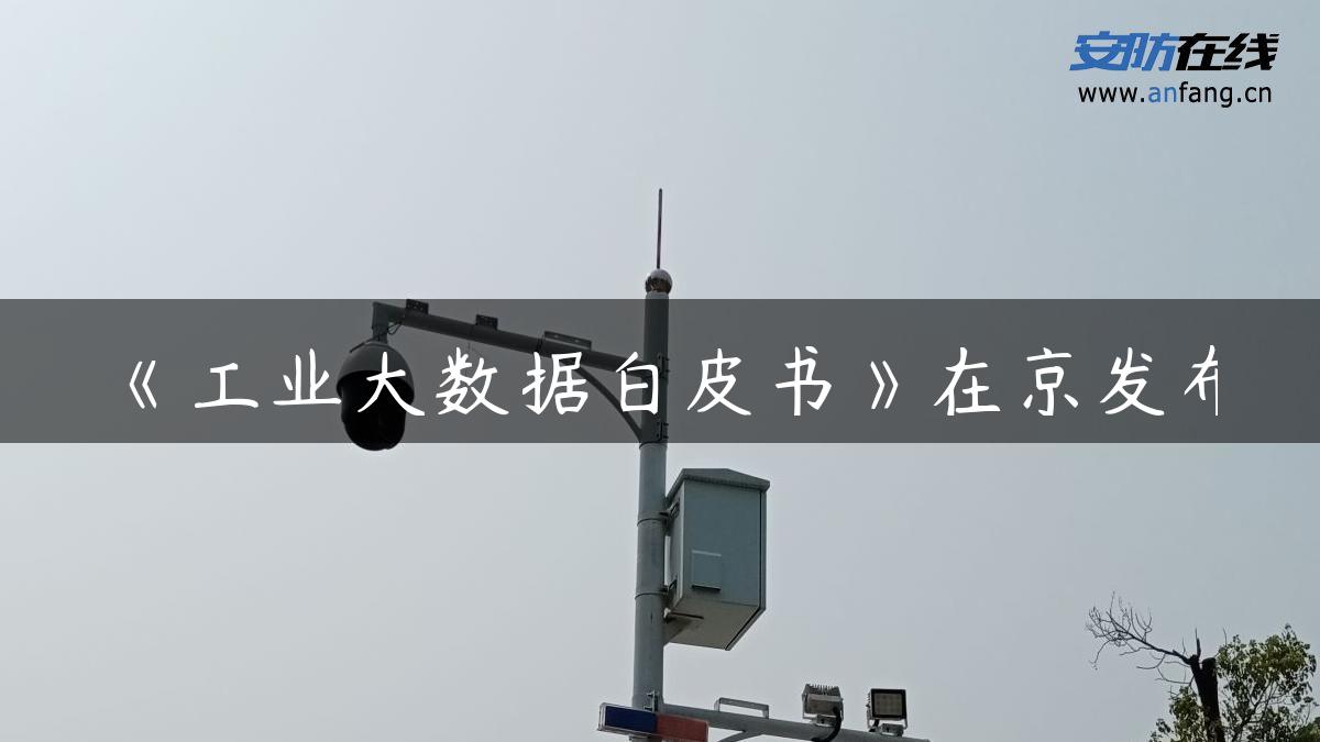 《工业大数据白皮书》在京发布