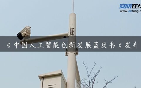 《中国人工智能创新发展蓝皮书》发布