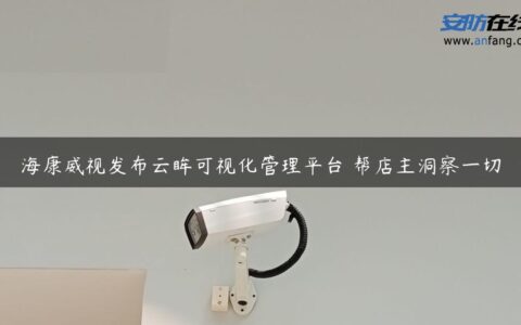 海康威视发布云眸可视化管理平台 帮店主洞察一切