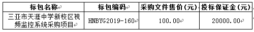 三亚市校区视频监控系统采购项目招标公告