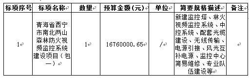 青海省西宁市防火视频监控项目招标公告