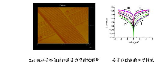 中国首个256位分子存储器电路研制成功