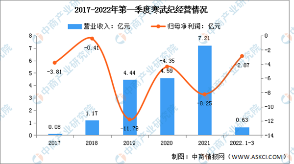 2022年中国AI芯片行业市场前景及投资研究报告