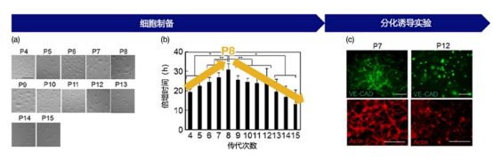 增强实验可重复性 奥林巴斯CM20细胞培养监控系统推动生命科学高效发展