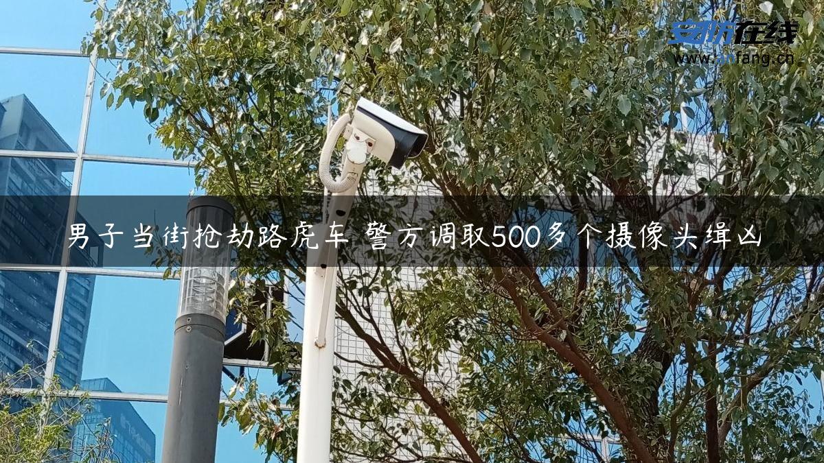 男子当街抢劫路虎车 警方调取500多个摄像头缉凶