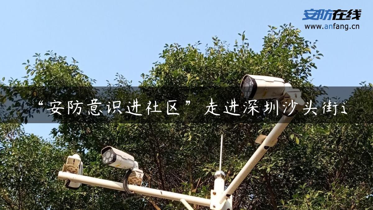 “安防意识进社区”走进深圳沙头街道