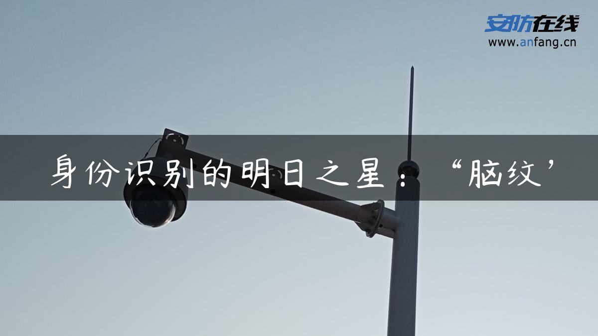 身份识别的明日之星：“脑纹”