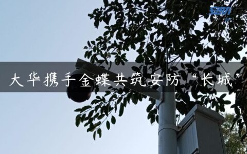 大华携手金蝶共筑安防“长城”