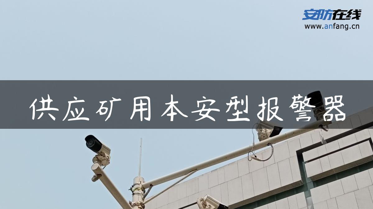 供应矿用本安型报警器