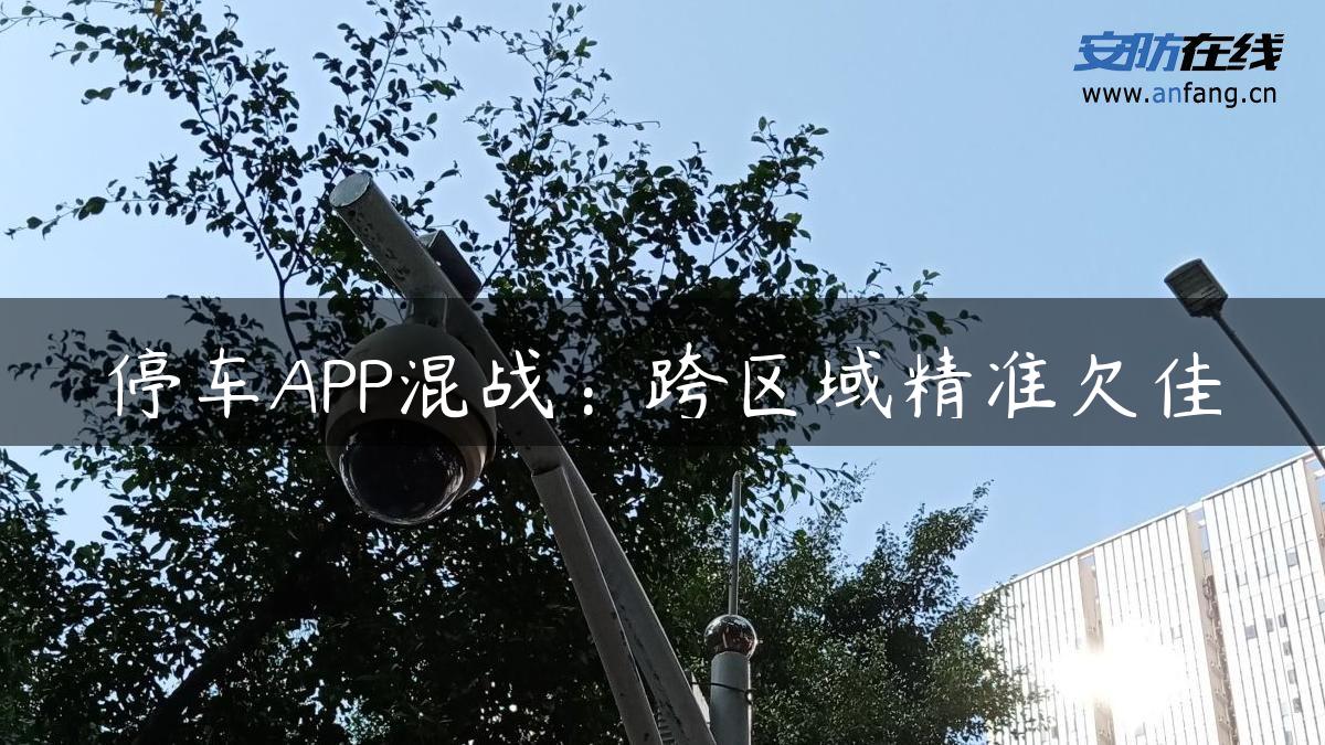 停车APP混战：跨区域精准欠佳