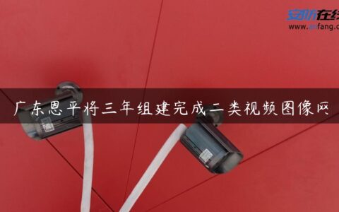 广东恩平将三年组建完成二类视频图像网