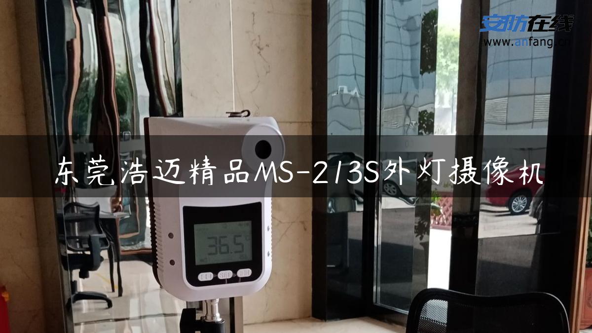 东莞浩迈精品MS-213S外灯摄像机